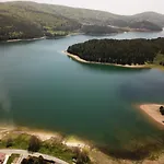 Tra Il Bosco E Il Lorica