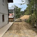 Tra Il Bosco E Il *