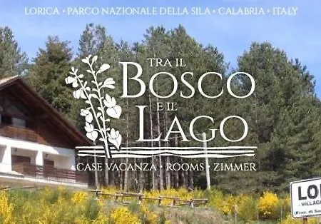 Tra Il Bosco E Il * Lorica