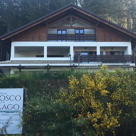 Tra Il Bosco E Il Lorica