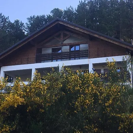 Tra Il Bosco E Il *