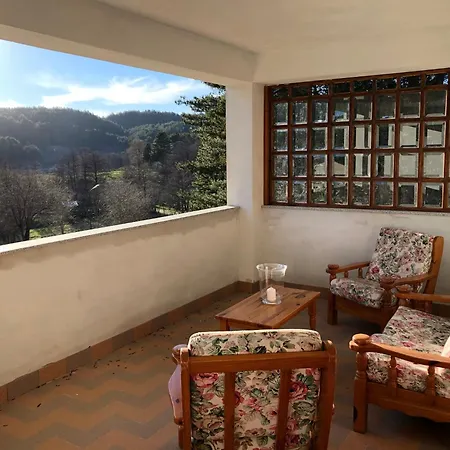 Tra Il Bosco E Il * Lorica