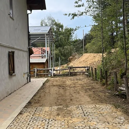 Tra Il Bosco E Il *
