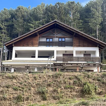 Tra Il Bosco E Il Ferienhaus Lorica