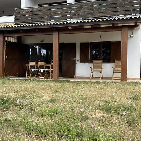 Tra Il Bosco E Il Lorica